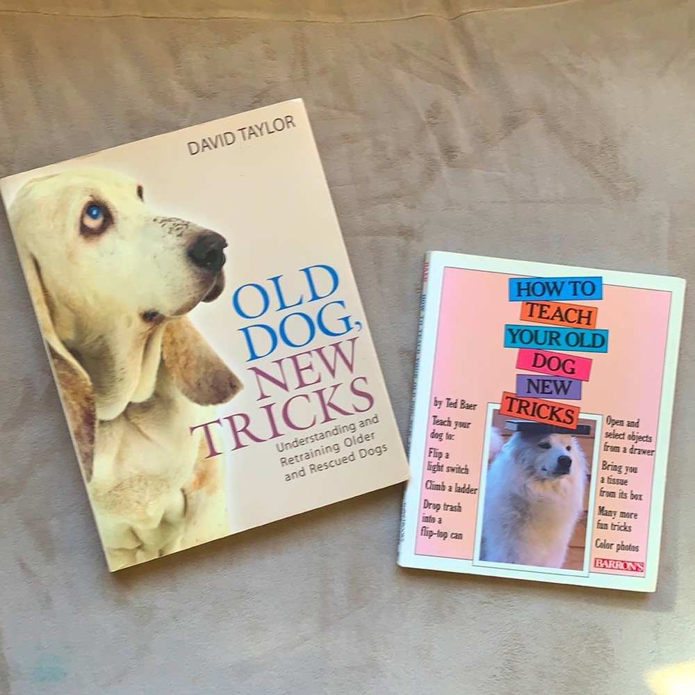 Old Dog, New Tricks By David Taylor and How to Teach Your Old Dog New Tricks
